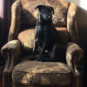Meet your Posher, Desean